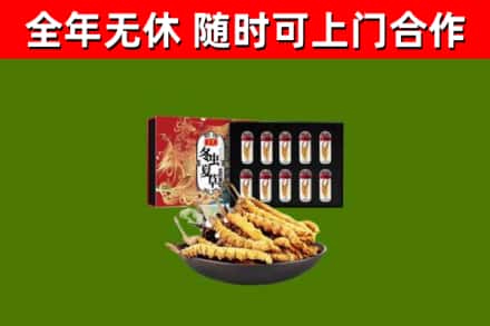 蒙阴回收冬虫夏草价格